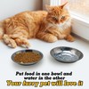 Hamiledyi 24 Pcs Stainless Steel Cat Bowls Shallow Metal Pet