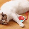 Interactive Cat Ball Toy | Light Up Chirping Cat Interactive