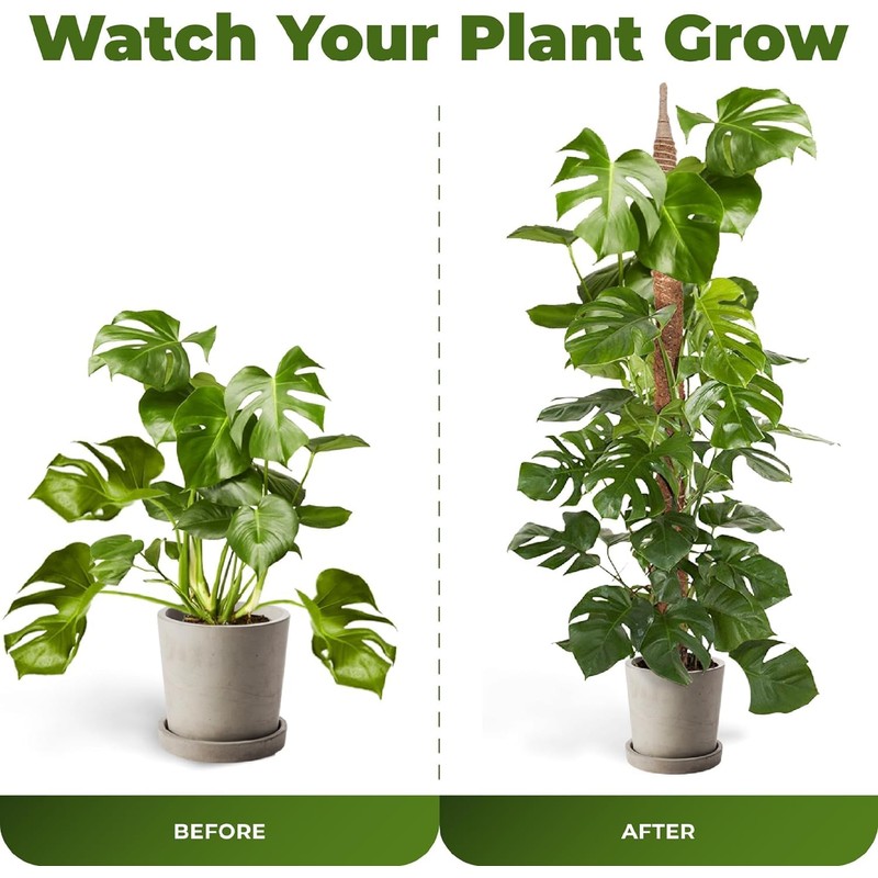 48'' Moss Pole - Monstera Plant Support - Bendable Plant