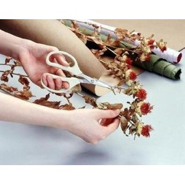 アルスコーポレーション クラフトチョキ バイオレット 330H-V