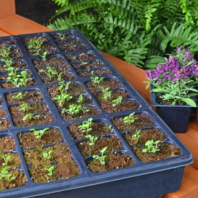 Mosser Lee ML0003 SucSeed® Premium Seed Starter 244 cubic inch