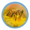 McNeill McAddys Cute Animals School Bag - Bee, yellow