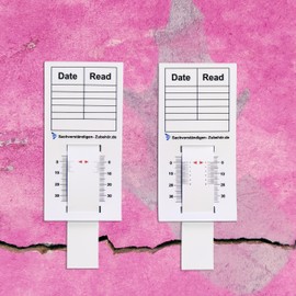 Expert Accessories Crack Monitor | appraiser equipment | Gap ruler & measuring tools for real estate appraisal | Damage assessment of buildings with expansion joints