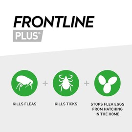 FRONTLINE FRONTLINE Plus Flea & Tick Treatment for Large Dogs - 6 Pipettes