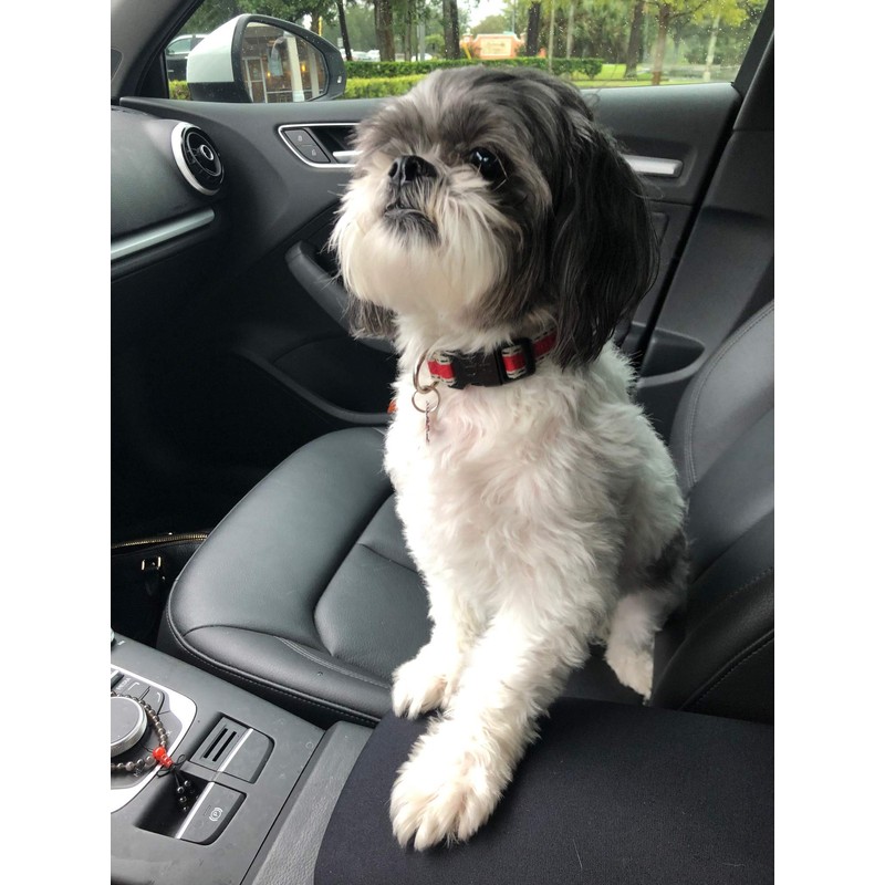 Car Console Covers Plus Made in USA Designed for Mazda