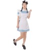 Coolchange Maid Cosplay Costume with Apron and Headband, large