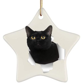 Funny Bombay Cat Black Coming Out of Cracked Wall Gifts 2024 Christmas Tree Ornaments Ceramic Star