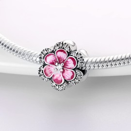 Pandach Women's Charm Pendant for Bracelet, 925 Sterling Silver Charm Beads, Suitable for Bracelets and Necklaces, Compatible with European Bracelets for Women and Girls, Sterling Silver, Cubic Zirconia