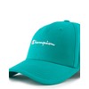 Champion Unisex Icons Baseball Cap Closure, Green (GS130), Unit size