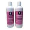 Shampoo Y Acondicionador Libre De Sal Post Alisado 500ml C/u