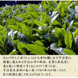 Kiyoizumi Gyokuro Stem Tea Karigane (3.5 oz (100 g) x 1 Bag), Gegane, Uji Tea, Stemmed Tea, Uji Gyokuro, Green Tea, Tea Leaves, Kyoto Souvenir