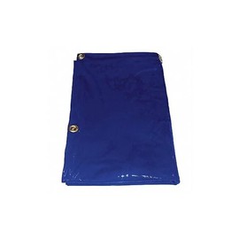 Westward, 22RN65, Welding Curtain, 6 ft. W, 4 ft., Blue