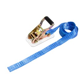 FK Blue CE2NT Type Endless Lashing Belt, 0.75 Ton, Width 1.0 inches (25 mm) x Length 16.4 ft (4 m)