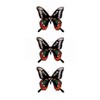Festival Makeup M008 Butterfly-2 (10cm x 4cm), Black