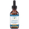 Native Remedies Complete Sciatigon ComboPack - All Natural Herbal Supplement