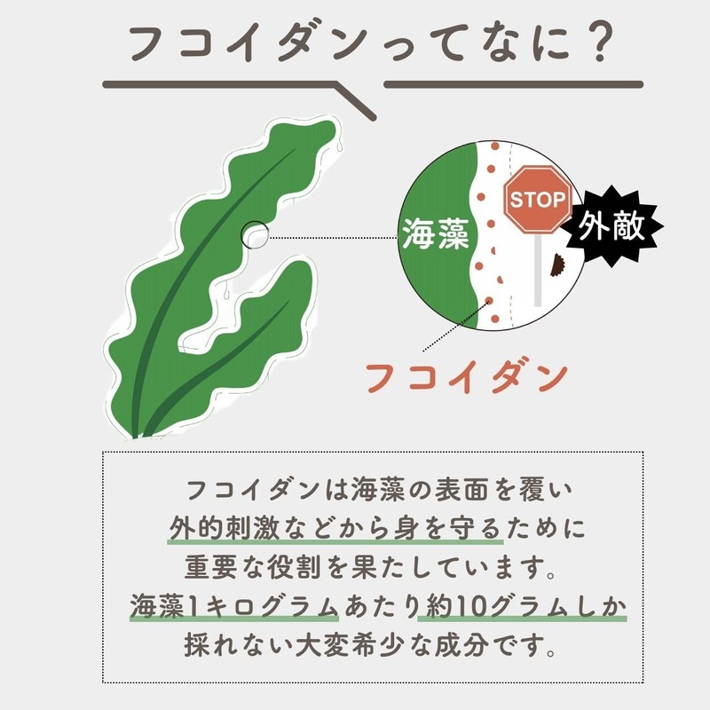 ヴェントゥーノ 海藻専科フコイダンブイ 90粒 約1か月分 沖縄フコイダン 高分子 海藻 サプリ
