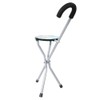 Iron Portable Folding Walking Stick Seat Tripod Travel Chair Stool