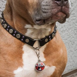 GRAPHICS & MORE Harley Quinn Character Chrome Plated Metal Pet Dog Cat ID Tag