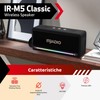 IRRADIO IR-M5 Classic, Powerful Portable Speaker, Double 50mm Driver, Passive