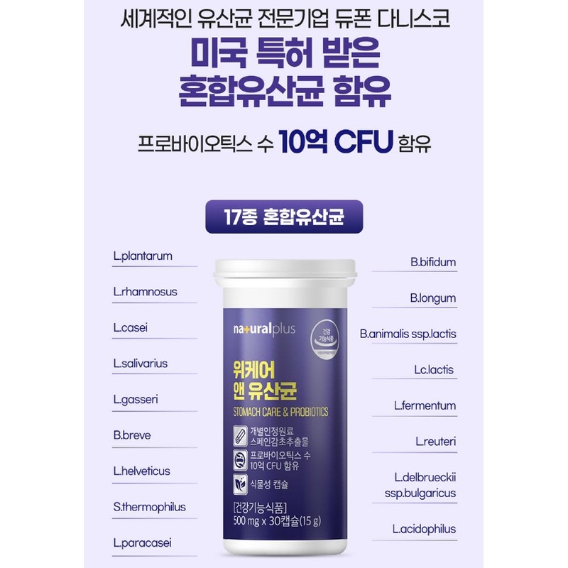 Lactic Acid Bacteria Nutrients Good for the Stomach Stomach Lactic
