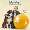 Race&Herd 30" Original XXL Herding Ball for Dogs - Herding
