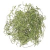 Earth Farms Dry Flower supanissyumosu about G with Free gift