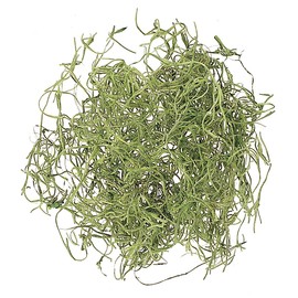 Earth Farms Dry Flower supanissyumosu about G with Free gift