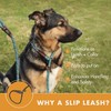 Wolfi Correa para Mascota Duradera, Correa Resistente y cómoda para