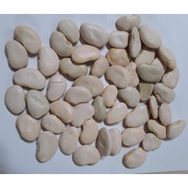 Pole Lima Bean King of The Garden Seeds