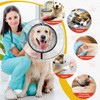 Inflatable Dog Cone Collar, 2 IN 1 Soft Recovery Collar