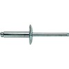 Large Flange Pop Rivets 1/4" x 5/8" All Steel Large
