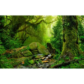 ZatiasMiller Rainforest Terrarium Background Tropical Style Forest Aquarium Background Deep Jungle Stream with Stones Moss Reptile Habitat Background Fantasy Forest Aquarium Backdrops Vinyl 48x18in