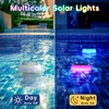 BASON LIGHTING Solar Powered Floating Pool Light with Chlorine Tablet