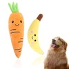 DragonX2 Hundespielzeug Unzerstörbar,Karotte Hundespielzeug, Banane Hundespielzeug, Quietschend Hundespielzeug, Interaktives Spiel