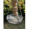 Oakdale Hanging Bird Feeder Tray
