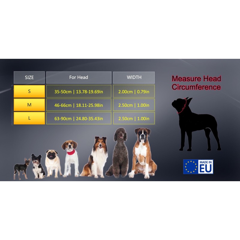 Martingale Pull Stop Collar for Dogs with Chain and Leather