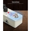 Pogolab Delay Pedal, Delay Pedals for Electric Guitar, Analog Delay