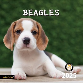 2025 Wall Calendar,Calendar 2025, November 2024 - December 2025, Wall Calendar Beagles, 12" x 24" Opened,Full Page Months Thick & Sturdy Paper for Calendar Organizing & Planning