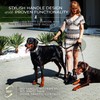 Premium Double Leash for Two Dogs – Shock Absorbing Anti