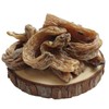 Hello Green Gastrodia elata 200g (pack) imported / 헬로우그린 천마