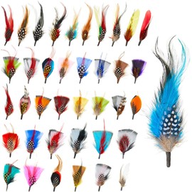 Kenning 39 Pcs Hat Feathers Assorted Feathers for Hats Colorful Real for DIY Craft, Christmas Decorations Men Women Approx. 8-11 cm