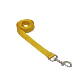 Large Yellow Nylon Webbing Dog Leash: 1" Wide, 6ft Length - Made in USA.
