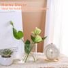 UPBUD 4 Inch Small Glass Cylinder Vases for Centerpieces |