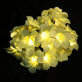 LEDMOMO Lichterkette mit 20 LEDs, Frangipani-Blume, batteriebetrieben, warmweißes Licht