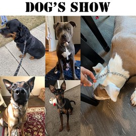 Dog Choke Collar,Heavy Chain Dog Metal Training Collars, Adjustable Metal Necklace Martingale Puppy Collars for XXS XS Small Medium Large Big XL Breed Dogs, Silver XS