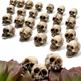 20 mini teschi decorativi, piccoli giocattoli realistici in resina a forma di teschio, statuetta a forma di teschio scherzo, decorazione per feste, accessori fai da te, ornamenti per vasi da giardino