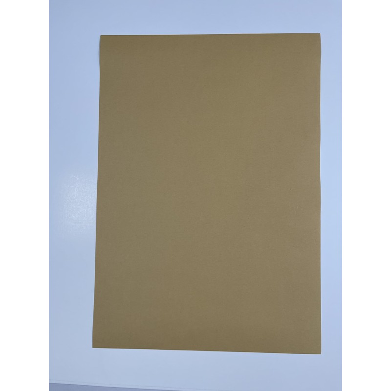 Freak Show Circus Poster Print Snake Lady Picture