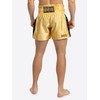 BENLEE Rocky Marciano Goldy Pantaloni da Boxe, Oro/Nero, S Uomo