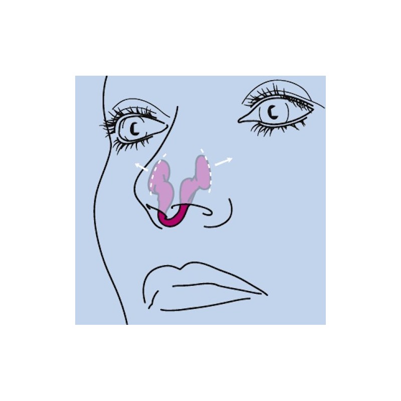 Airmax nasal dilator Sport Nasendilatator/Small & Medium) – Helps to
