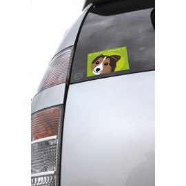 Looking at Sheltie Sable Dog Sticker Green Back MK-2